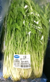 【農薬未使用】千葉県　さんぶのみず菜　約200gP　x2個セット【冷蔵】