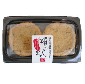 【送料無料】豆庵　絹ごしがんも 2個入x2 セット【冷蔵】