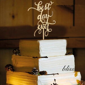 EGfBO P[Lgbp[yBest Day Ever ؐ EFfBO P[Lgbp[zuC_ i  EFJ Xy[X 񎟉 i` ][g K[f p[eB j LO