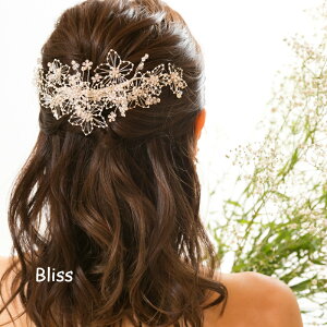 y݌Ɍ̂ߒl 30OFFzEFfBO wbhhXyt[ NX^C[ xbhhXzwbhANZT[ wAANZT[ uC_  }ANZT[ i