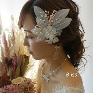 y݌Ɍ̂ߒl 40%OFFzEFfBO ANZT[yt[RT[WzwbhANZT[ wAANZT[ uC_  }ANZT[ i` [t rW[ 