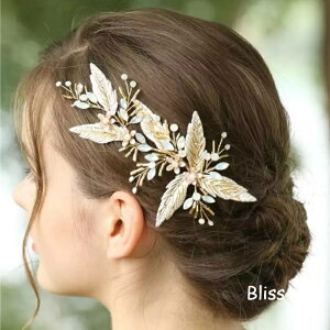 EFfBO ANZT[yP[Xtzy} S[h Of[V [t wbhhXzwbhANZT[ wAANZT[ uC_  }ANZT[ i` 