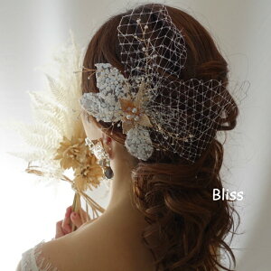 EFfBO wbhhXyP[Xtzy } [X RT[W zwbhhX wA ANZT[ {l uC_   } ANZT[ [t t[ S[h g[N