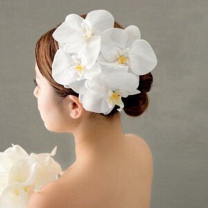 y܂tzwbhhXyP[XtzyӒ 5ցz   l Ǝ uC_ C FŊ| ԉ a  A[eBVt[ VNt[ t[ 