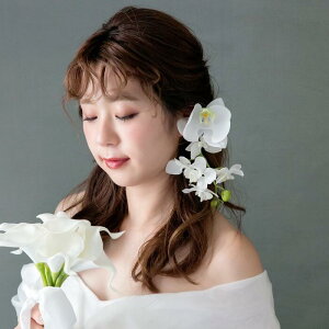    C[Jt  CO 2_ZbgyӒƃft@ t[ C[Jt ZbgznhCh R`E A[eBVt[   l 