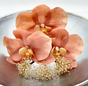 y܂tzwbhhXyP[XtzyӒ 3 & ݑ 3{z   l Ǝ uC_ C FŊ| ԉ a  A[eBVt[ VNt