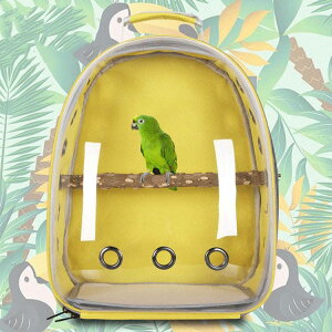 p ybgL[obO ybg bN o[hL[ LA XOobO obNpbN ʋCǂ L[P[X 