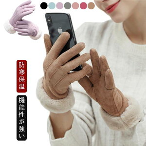  fB[X ~ O[u X}zΉ ĂԂ ۉ h g  ~ H 킢 ʋ ʊw  ] XL[p