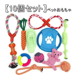 y10Zbgzybgp  ނ ybgpi ^s XgX S v ϋv   q/^  ^p 􂦂