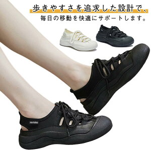 fB[X  Xj[J[ T_  ₷ EH[LO V[Y ʋC V[Y C y Ȃ ^C JWAV[Y Sn ~ ʋ ʊw 풅