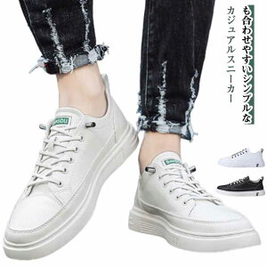 Y Xj[J[ ΂ȂCR JWA EH[LOV[Y ~ ʋC y [JbgXj[J[ Xb|  Vv ʋ ʊw