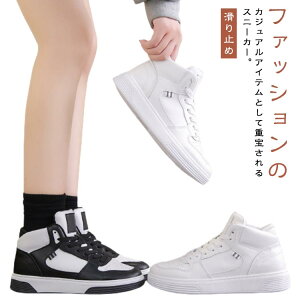 Xj[J[ fB[X nCJbg ^C   Xj[J[ EH[LO V[Y y ~ _炩 ₷ ʋC ₷  w h ʋ ʊw JWA 