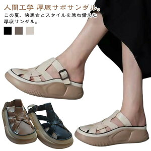 T{T_  fB[X Oǂ gAbv lԍHw Xb| JWAV[Y t  EH[LOV[Y  T{T_ Xj[J[ yʐ݌v ~ r