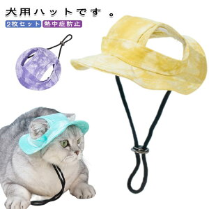 2Zbg 蕨 ^  Xq ̌ L t pXq ΍ ̕ gCv[h nbg hbOEFA ΍ Ԃ co ` ^ Ăh~ O΍ o