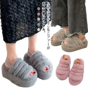 t@[t~[ RR t@[ T_ ~  fB[X t@[V[Y  [V[Y g r {A V[Y  Xbp h Ȃ Xbp qp