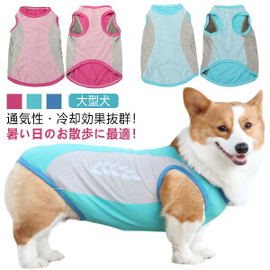 yyV2ʁzy8XL-11XLz   N[ EFA G炵  G炷 bV ⊴ Ђ u p CM  ĕ ^ ^Ngbv ybgEFA p xXg N[xXg M