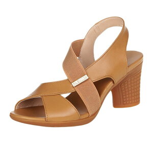 ItBXT_  ubN fB[XC `L[q[ fB[X p JWA NbV X|[cT_  y \tg XgbvT_ ~[ T_ ʋ