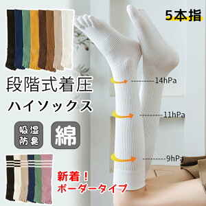 y2Zbgz\bNX 5{w VFCv\bNX nC\bNX C fB[X t  H~  g ₦Ƃ d˗ hL X|[c n {[_[ Jt  p 