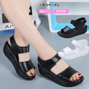 y21ző20{ T_ fB[X ItBX T_  i[XT_ ɂ ₷ ItBXV[Y }}T_ X|[cT_ tbgT_ [q[ V