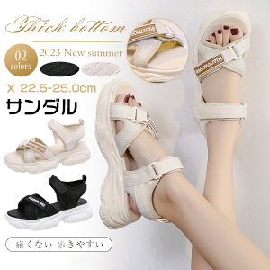 yX[p[SALE ő50%OFFzyz₷ ɂȂ  X|[cT_ Xj[J[T_ RtH[gT_ T_ T_