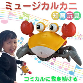 【8/25まで★ポイント20倍】【送料無料】自動 プレゼント ギフト 誕生日 早期開発 赤ちゃん 子ども 幼児 引きずって歩ける 乾電池式 充電式 知育玩具 散歩 這う 音楽