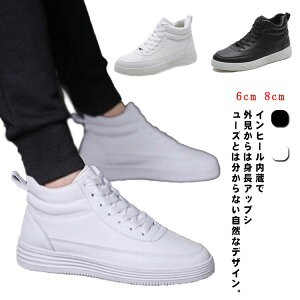 V[Nbg Xj[J[ ubN  fB[X Y Cq[Xj[J[ [XAbv V[Nbg Cq[V[Y  gȂXj[J[ 6cm 8cm V[NbgV[Y