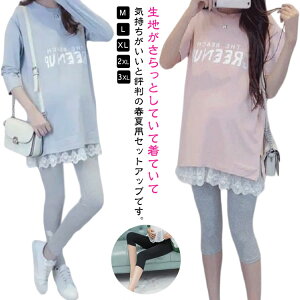 y21ző20{ Zbg `jbN gbvX Dw TVc /MX   gbvX }^jeB ZbgAbv 7䃌MX {gX XEFbg oY  Y 