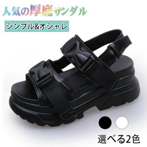 y21ző20{ T_ fB[X X|[cT_ 7CM X|T r[` r[T fB[XV[Y y ₷PUS? ₷ ins IV ďtp fB[X