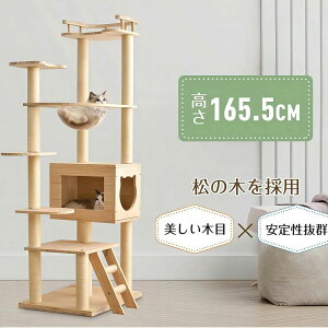 Lbg^[ ؐ FD u  165.5cm  Lbg^[ ؐ ^ R ܂Ƃ{[ Lxbh SS ybgpi  