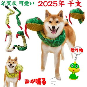 wr RXv    ʂ  pXk[h ւіN 蕨 ybg 2025N x N N  ʂ _炩 LpXJ[t ^sXgX