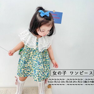 xr[ s[X hX ̎q  ĕ ԕ [X q m Ԃ V t  xr[ 