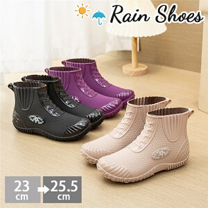 Cu[c fB[X  GWjAu[c ҂ݏグ CV[Y fB[X ʋ  TChSA Cu[c C Cu[c Xj[J[ h L JC Jp
