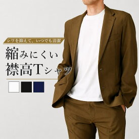 【ジャケット好きにこそ着てほしい半袖】 Tシャツ メンズ シャツ 半袖 ティーシャツ 白 黒 紺 ホワイト ブラック ネイビー ポリエステル 無地 おしゃれ ジャケット 男性 S M L LL 3L 吸水速乾 接触冷感 縮まない シワになりにくい ギフト プレゼント 入学式 父の日 [M便 1/2]