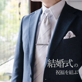 【結婚式を祝福するネクタイ】 ネクタイ シルバーネクタイ 結婚式ネクタイ レジメンタルタイ ストライプ 小紋柄 フォーマル メンズ 男性 シルバータイ 二次会 パーティー プレゼント ギフト 礼装 正装 シルバー パープル おしゃれ かっこいい 結婚式 [M便 1/5]