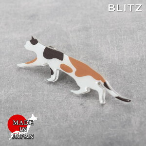 BLITZ lN^Cs zCg ubN uE OєL Y ^Co[ ^Cs lN^C X[c  [ Vv rWlX d  A lC Mtg  20 30 40 50 60 ]