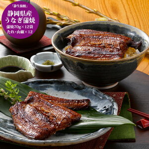 yubNtCf[ 7ԌN[| z ÉY Ȃ ÐV (×3Zbg)[ oYj j j Ԃ oY  TԂ MtgZbg v[g] Ε ~