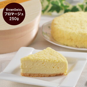 yT͊Ӎ ̃N[|zzz kC BrownSwiss t}[W [fU[g XC[c oYj j j Ԃ oY  TԂ Mtg ÖO Yn ґMtg 