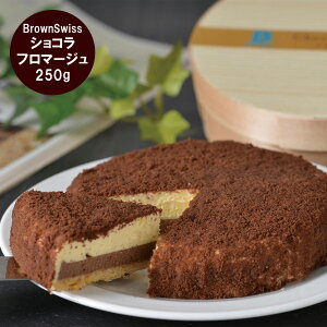 yubNtCf[ 7ԌN[|z kC BrownSwiss VR t}[W [fU[g XC[c oYj j j Ԃ oY  TԂ Mtg ÖO Yn 