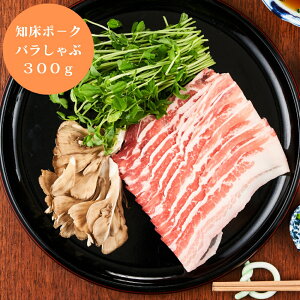 yubNtCf[ 7ԌN[|z kC m |[N o  300g O Hi Yn Y  ܂ [oYj j j Ԃ TԂ MtgZbg v