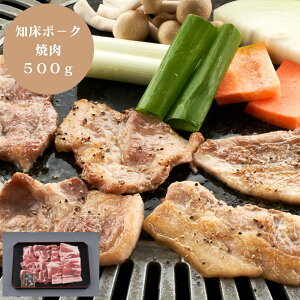 yubNtCf[ 7ԌN[|z kC m |[N ē 500g ؓ  O Hi Yn Y  ܂ [oYj j j Ԃ TԂ MtgZbg v