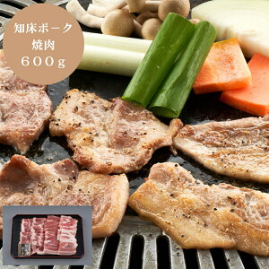 yubNtCf[ 7ԌN[|z kC m |[N ē 600g ؓ  O Hi Yn Y  ܂ [oYj j j Ԃ TԂ MtgZbg v