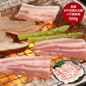 ynbs[nEB TvCYN[|zzz { SPF oēp O v[g Ε ~̑蕨 NNn