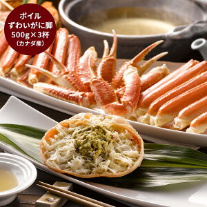 yubNtCf[ 7ԌN[|z {C킢Ɏp O v[g Ε ~̑蕨 NNn