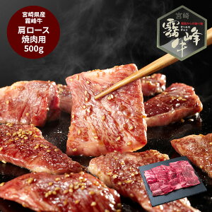 ynbs[nEB TvCYN[|zzz {茧Y  [Xē (500g) O v[g Ε ~̑蕨 NNn