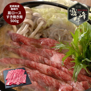 yT̓C`o̓ N[|zzz {茧Y  [XĂp (500g) O v[g nEB lC  َq
