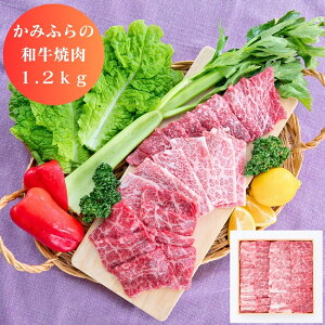 yubNtCf[ 7ԌN[|z kC ݂ӂ a ē 1.2kg O Hi   Yn Mtg 蕨 Y {Y  ܂ [oYj j j Ԃ o