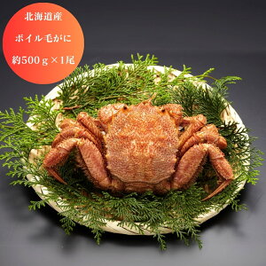 【ハッピーハロウィン サプライズクーポン配布】 北海道産 ボイル 毛がに 約500g 1尾 グルメ 食品 かに カニ 蟹 産地直送 ギフト 国産 日本産 おいしい うまい [出産祝い 結婚祝い 内祝 お返し