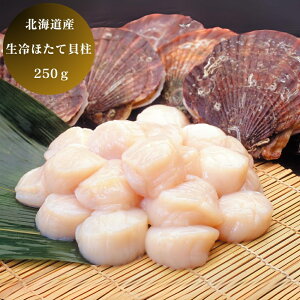 y1 _t |Cg10{z kC  ق L 250g O Hi  z^e Yn Mtg 蕨 Y {Y  ܂ [oYj j j Ԃ T