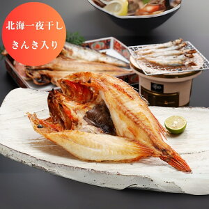 yubNtCf[ 7ԌN[|z kC kC 銱 񂫓 O CN Hi Yn Y {Y  ܂ [oYj j j Ԃ TԂ MtgZ