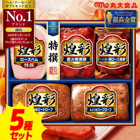 【楽天スーパーセール 20％OFF 対象 】 煌彩 ハムギフトセット 5本詰ギフト 丸大食品 MV-480 [ ハム ソーセージ 焼き豚 詰め合わせ 贈り物 もらって嬉しい 美味しい お取り寄せ 家族向け グルメ 冬ギフト 御歳暮 お歳暮 歳暮 【送料無料】